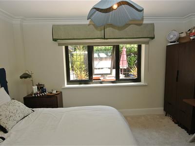 Picture 20